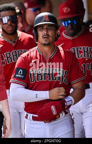 SCOTTSDALE, AZ - MARCH 23: Arizona Diamondbacks Outfield Kyle Lewis (1)  celebrates his two-run home run during a spring training game between the  Arizona Diamondbacks and Los Angeles Dodgers on March 23, 2023, at Salt  River Fields at Talking