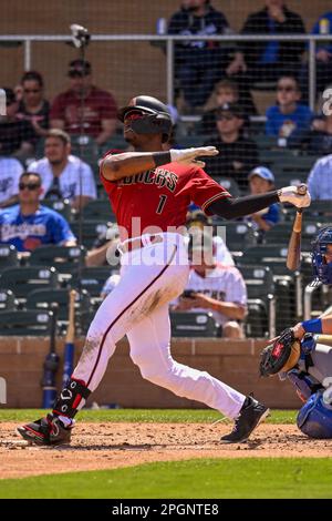 SCOTTSDALE, AZ - MARCH 23: Arizona Diamondbacks Outfield Kyle Lewis (1)  celebrates his two-run home run during a spring training game between the  Arizona Diamondbacks and Los Angeles Dodgers on March 23, 2023, at Salt  River Fields at Talking