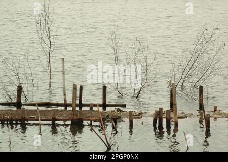 Bamboo poles, submerged embankment and trees on one of the ponds in the coastal area of Jakarta, located north of Prof. Dr. Ir. Soedijatmo Toll Road that connects Jakarta International Soekarno-Hatta Aiport and the city of Jakarta, Indonesia. Stock Photo