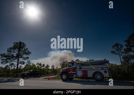 Jupiter, Florida, USA. 23rd Mar, 2023. Hungryland wildfire. Southern Martin County/Northern Palm Beach County, Florida. Extremely high fire danger exists as a result of drought in South Florida. When the fire was reported, it had already engulfed 150 acres. State and County resources are being deployed, quickly. However, there is a concern for campers as only one access road exists, limiting the evacuation route. (Credit Image: © Shane Srogi/ZUMA Press Wire) EDITORIAL USAGE ONLY! Not for Commercial USAGE! Stock Photo