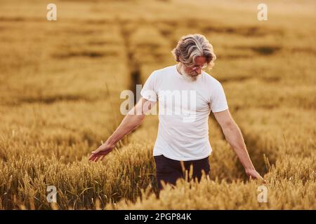 In casual clothes. Senior stylish man with grey hair and beard on the agricultural field with harvest Stock Photo
