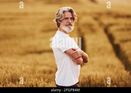 In casual clothes. Senior stylish man with grey hair and beard on the agricultural field with harvest Stock Photo