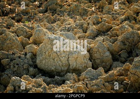 Selective focus close up of  dry clods of earth on a ploughed field in Orcia Valley, Tuscany, Italy Stock Photo