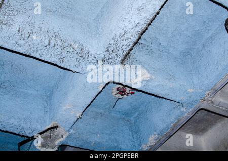 Spray-on asbestos insulation on coffer ceiling.f Stock Photo