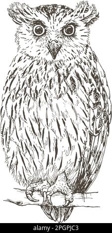 Hand drawn sketch of a fish owl, vector illustration Stock Vector