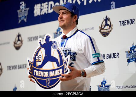 BayStars get an upgrade