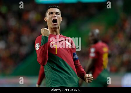 Watch La Liga Portugal 23/24 - Goal Collection MD11 Online