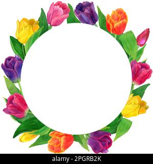 Watercolor hand drawn round frame of yellow, pink, purple tulips. Bright Spring flowers illustration. Botanical design for packaging, greeting cards, Stock Photo