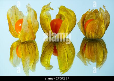 physallis on a mirrow Stock Photo