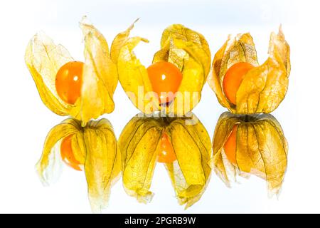 physallis on a mirrow Stock Photo