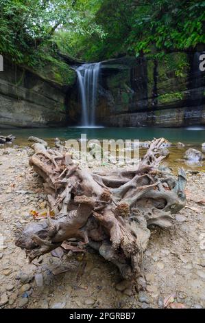 There is a big driftwood in front of Wanggu Waterfall. The mountain forest secret place, the lake is dreamy emerald green. Pingxi, New Taipei City. Stock Photo