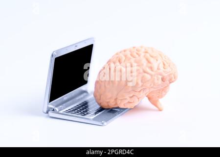 notebook with human brain anatomical model isolated on white background ...