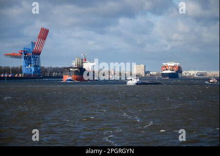 Hamburg, Germany. 24th Mar, 2023. The bulk carrier 'Lacta' (l) and the container ship 'Wisdom' sail on the Elbe. The warning strike in the Port of Hamburg is over. Credit: Jonas Walzberg/dpa/Alamy Live News Stock Photo