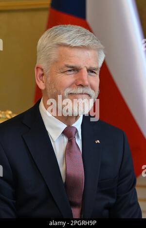 Czech President Petr Pavel (not pictured) has appointed ANO movement ...