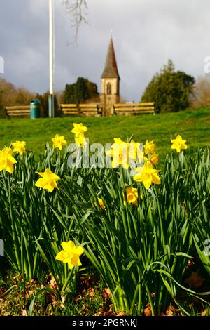 UK Weather March 24th, 2023. Southborough Common, Kent. St Peters church and daffodils in flower next to the cricket pitch on Southborough Common on a changeable spring morning of sunshine and showers, Daffodils have recently started to bloom in the last few days, adding spring colour to the views. Stock Photo
