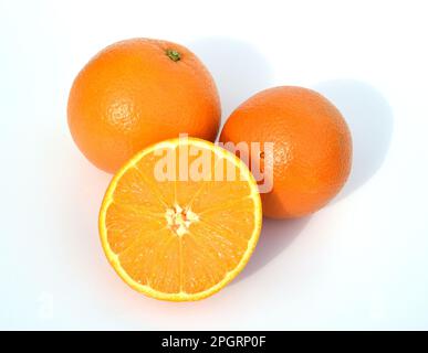 Orangenbaum, Citrus sinensis, ist eine exotische Frucht die auch getrocknet als Duftgeber verwendet wird. Orange, tree, Citrus sinensis, is an exotic Stock Photo