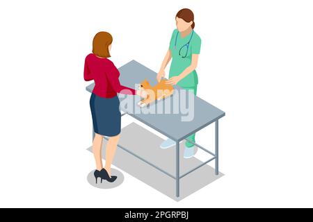 Isometric customers with cat visit the veterinary clinic. Services and services in veterinary clinics. Expert vet with a stethoscope examining a cat Stock Vector
