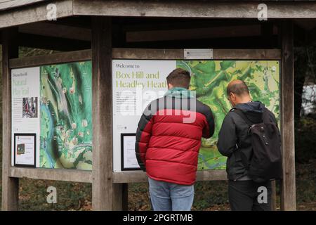 2 people viewing National Trust visitor notice board at Box Hill, Surrey Hills, Surrey, England, UK, 2023 Stock Photo