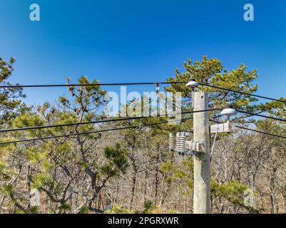 Close up of the upper most portion of an electrical pole Stock Photo