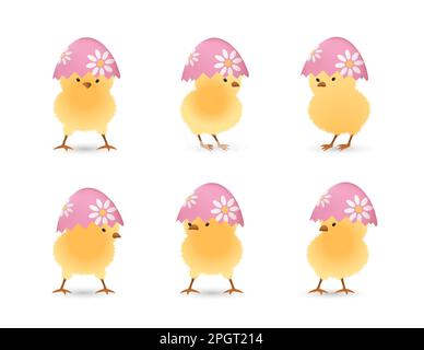 Chicks in upper part of broken Easter eggs with flowers set Stock Vector