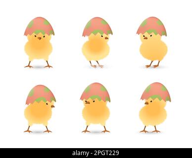 Chicks in upper part of broken Easter eggs with leaves set Stock Vector