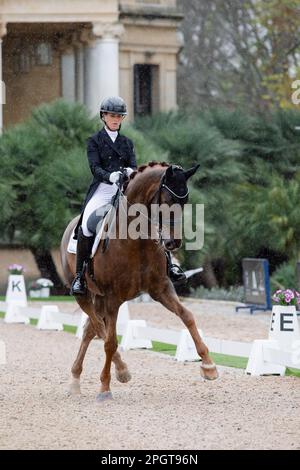 Royal Andalusian School of Equestrian Art, Jerez de la Frontera, Spain. 26 st March 2022. Morgan Banbançon Mestre (FRA) riding Habana Libre A (KWPN) Stock Photo