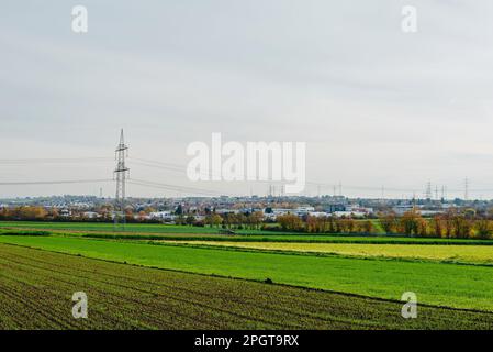 Beautiful autumn field with grass and wildflowers on background of electricity tower with power lines in sunset sky. Wild grass and herbs in fall mead Stock Photo