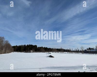 Vast snowy field under a bright blue sky with wispy clouds and distant forest Stock Photo