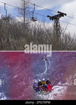 (230324) -- CHANGCHUN, March 24, 2023 (Xinhua) -- This combined photo shows cable cars at the Jinchang Ski Resort in the past (top, file) and skiers taking a cable car at Wanfeng Ski Resort in Tonghua, northeast China's Jilin Province (taken on Feb. 10, 2023 by Yan Linyun). With its unique natural conditions, Tonghua, located in the southeastern part of Jilin Province, is one of the first cities in China to promote skiing. Jinchang Ski Resort, built in 1959, is China's first alpine ski resort.Famous for its long snow season and powder snow, Changbai Mountain in Jilin province has long been an Stock Photo