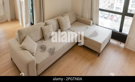 Dirty, stain, blot , spot and fleck of water on the fabric white textile sofa. Stock Photo