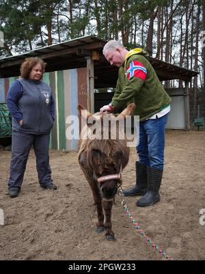 21 March 2023, Brandenburg, Schönwalde/Ot Paaren-Glien: Veterinarian ...