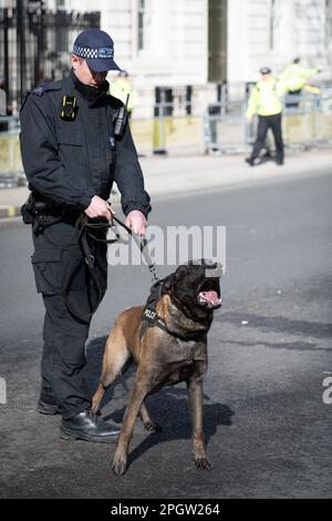 Police dogs and heavy security during a protest in Whitehall against Israeli Prime Minister Benjamin Netanyahu as he visits London to meet UK governme Stock Photo