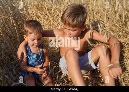 The brothers sit on a summer field among wheat spikelets. Family values. Eternal friendship Stock Photo