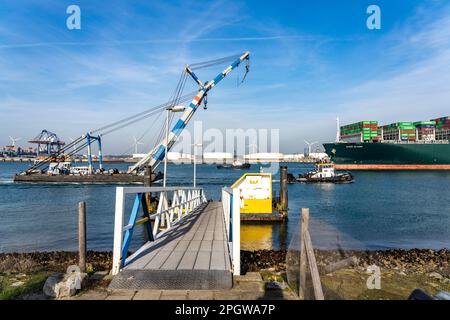 Harbour tugs bring the container freighter Ever Globe to its berth at Hutchison Ports ECT Euromax, on the Yangtzekanaal on Maasvlakte 2, Rotterdam, th Stock Photo