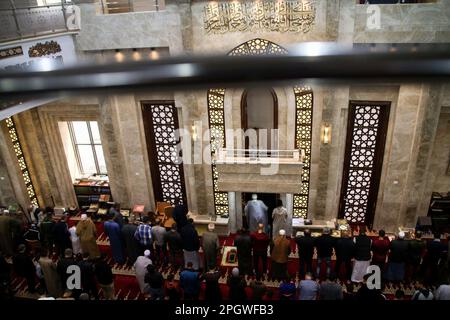 Rafah, Gaza Strip, Palestine. 24th Mar, 2023. Gaza, Palestine. 24 March 2023. Palestinians perform the first Friday prayer of Ramadan (Credit Image: © Ahmad Hasaballah/IMAGESLIVE via ZUMA Press Wire) EDITORIAL USAGE ONLY! Not for Commercial USAGE! Stock Photo