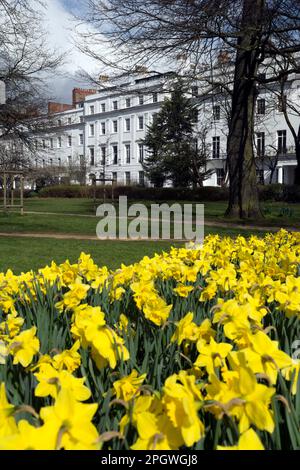 Clarendon Square, Leamington Spa, Warwickshire, England, UK Stock Photo