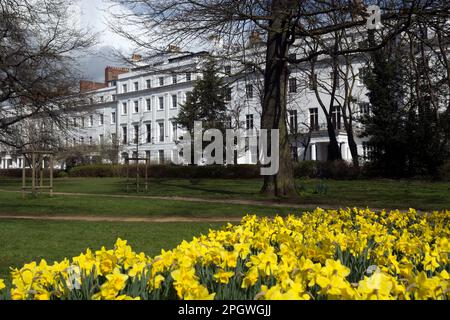 Clarendon Square, Leamington Spa, Warwickshire, England, UK Stock Photo