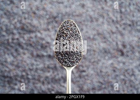 Poppy seeds on a spoon with copy space Stock Photo