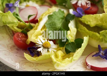 Vegetable salad with common daisy, chickweed and nipplewort - wild edible plants growing in early spring Stock Photo