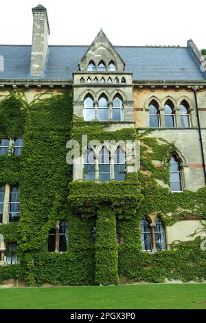 Christ Church, University of Oxford, Anglia, United Kingdom, Europe Stock Photo