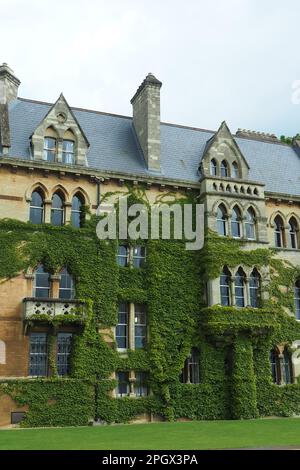 Christ Church, University of Oxford, Anglia, United Kingdom, Europe Stock Photo