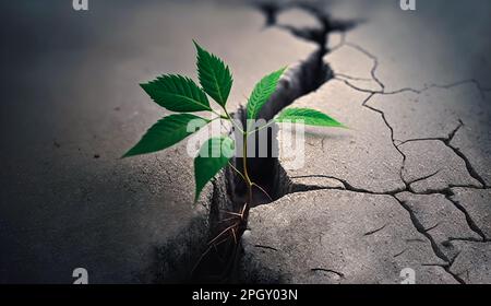 Lonely green plant on dried soil Earth background Stock Photo