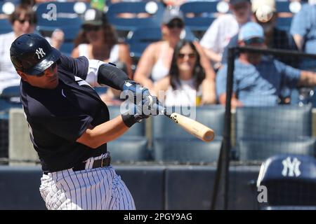 TAMPA, FL - MARCH 24: New York Yankees Outfield Aaron Judge (99) gives a  thumbs up to a young man who offered to trade jerseys with Judge during the spring  training game