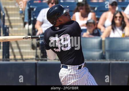 TAMPA, FL - MARCH 24: New York Yankees Outfield Aaron Judge (99) gives a  thumbs up to a young man who offered to trade jerseys with Judge during the spring  training game