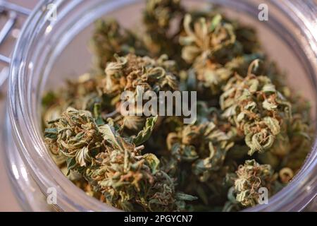 Dry and trimmed cannabis buds stored in a glas jars. Stock Photo