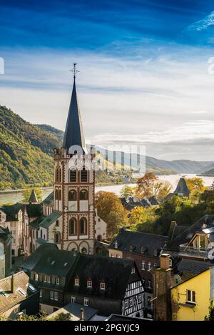 Vineyards and town, St. Peters Parish Church, Bacharach, Upper Middle Rhine Valley, UNESCO World Heritage Site, Rhine, Rhineland-Palatinate, Germany Stock Photo