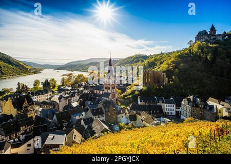 Vineyards and town, St. Peters Parish Church and church ruins of Werner Chapel and Stahleck Castle, Bacharach, Upper Middle Rhine Valley, UNESCO Stock Photo