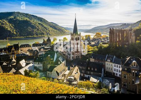 Vineyards and town, St. Peters Parish Church and the ruined Werner Chapel, Bacharach, Upper Middle Rhine Valley, UNESCO World Heritage Site, Rhine Stock Photo