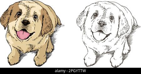 cute puppy dog looking up and waiting for food, Hand drawn, vector illustration Stock Vector