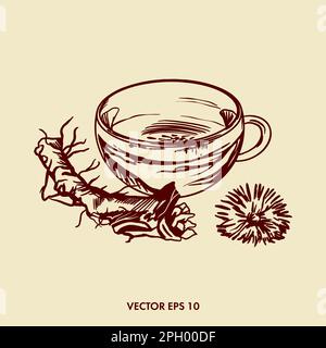 Vector illustration of dandelion tea. Dandelion tea. Dandelion slice, root and flower. Pharmacy drink. Graphic illustration for packaging design. phar Stock Vector